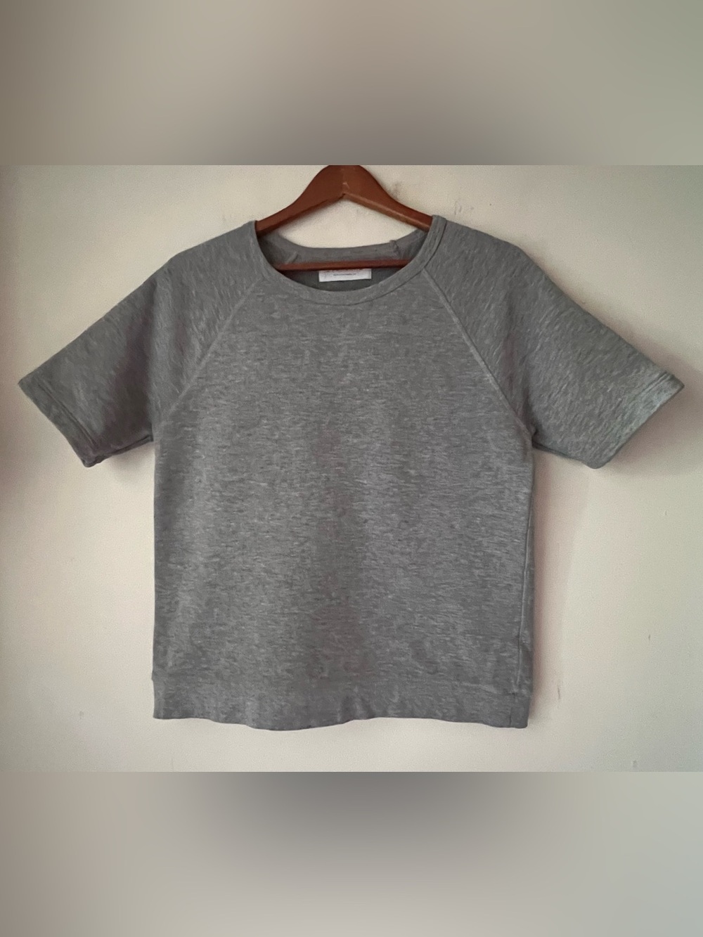 Everlane Gray Short Sleeve Raglan Crewneck Sweatshirt S